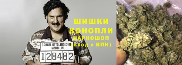 сатива Няндома