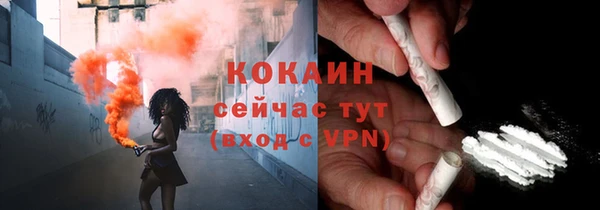 сатива Няндома